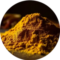 Turmeric Longa